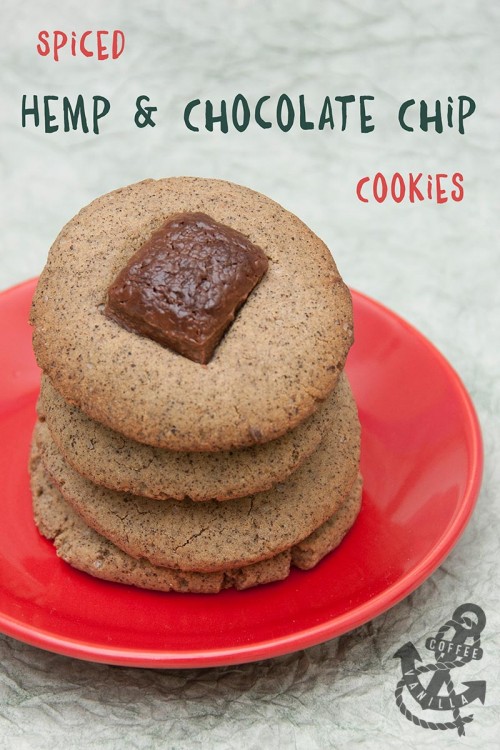 spiced hemp flour chocolate chip cookies gluten free recipe