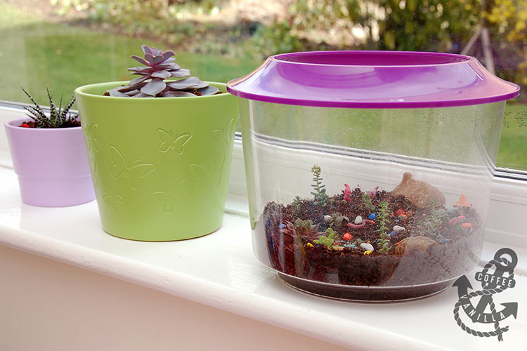 flower pots for kids