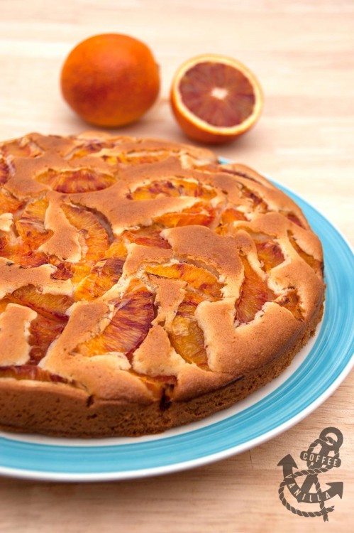 blush orange fruit cake recipe