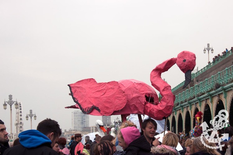 flamingo Brighton Festival parade