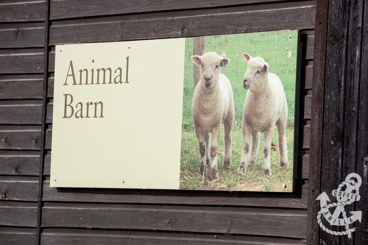 childrens farms near brighton