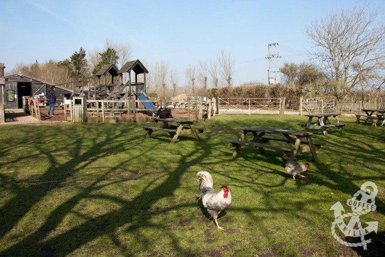 family friendly open farm near Brighton 