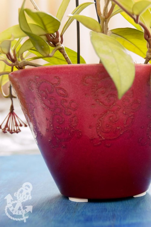 how to remove stains made by flower pots