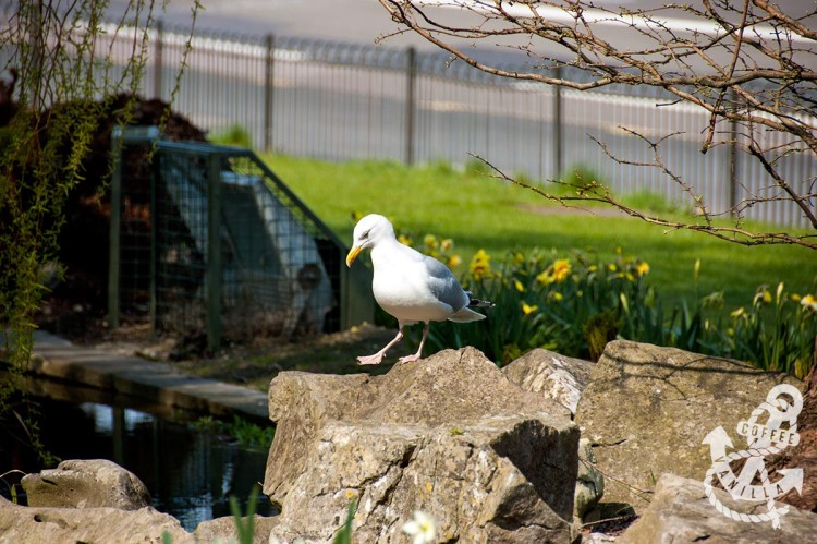 family friendly Brighton and Hove