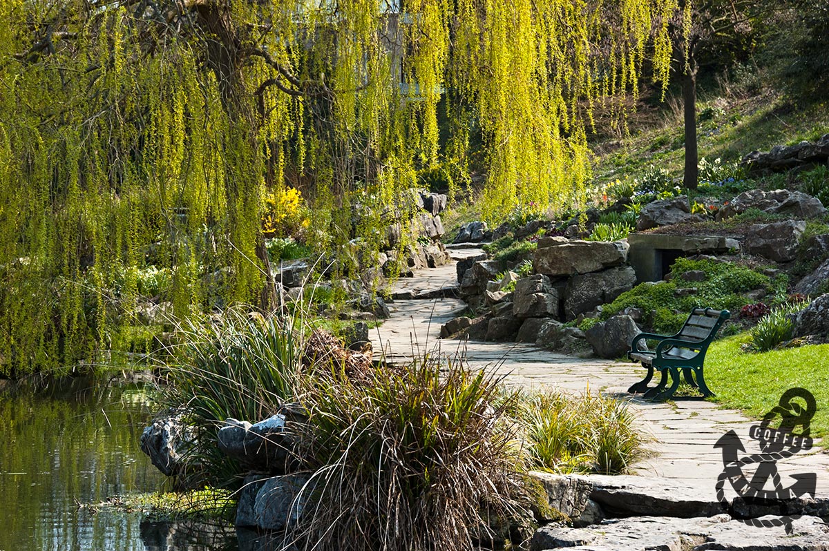 Preston Park Rock Garden in Brighton » Coffee & Vanilla