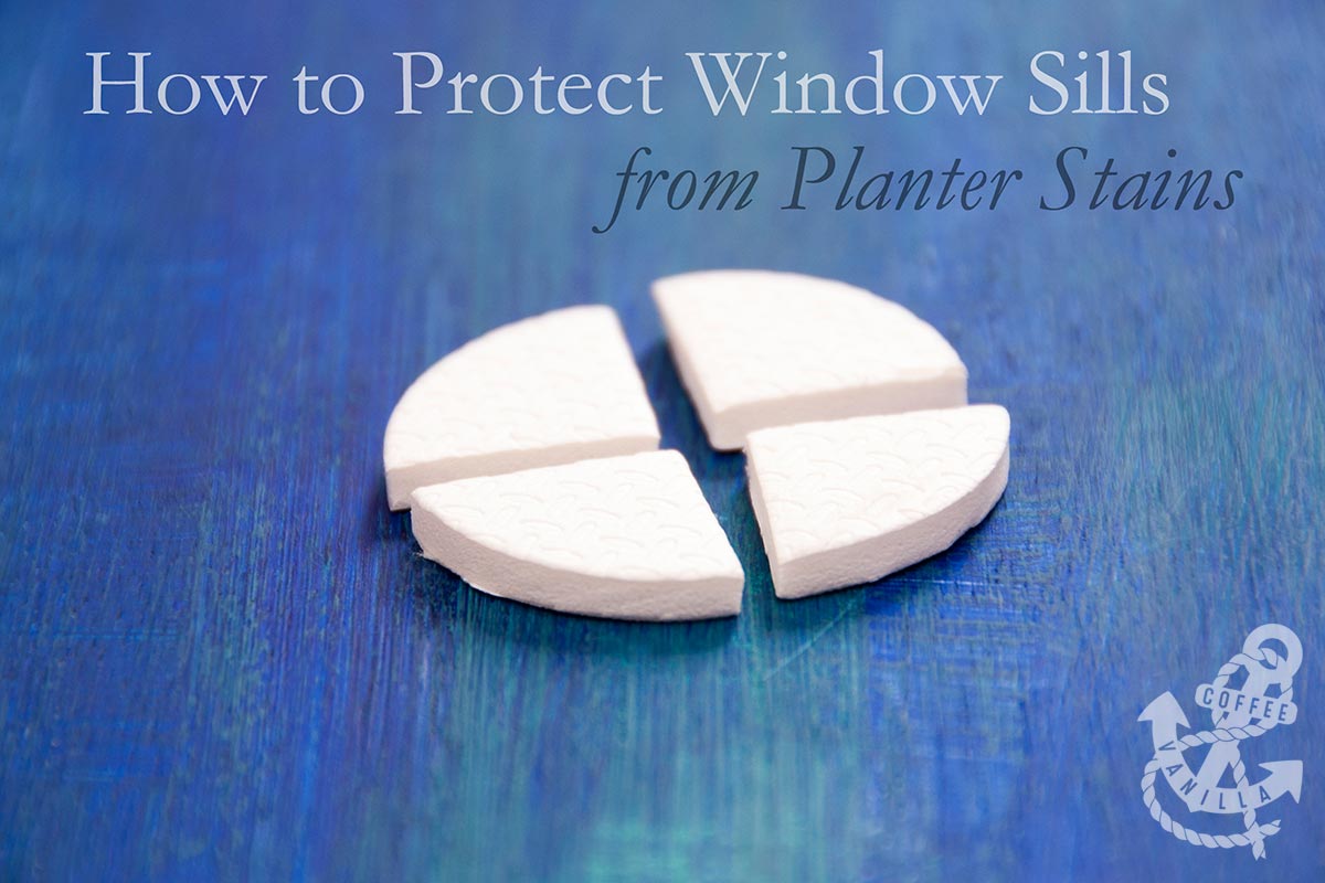 How to Protect Window Sills from Planter Stains Easy Solution
