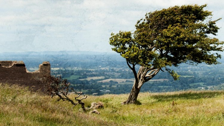 Devil’s Dyke at South Downs National Park