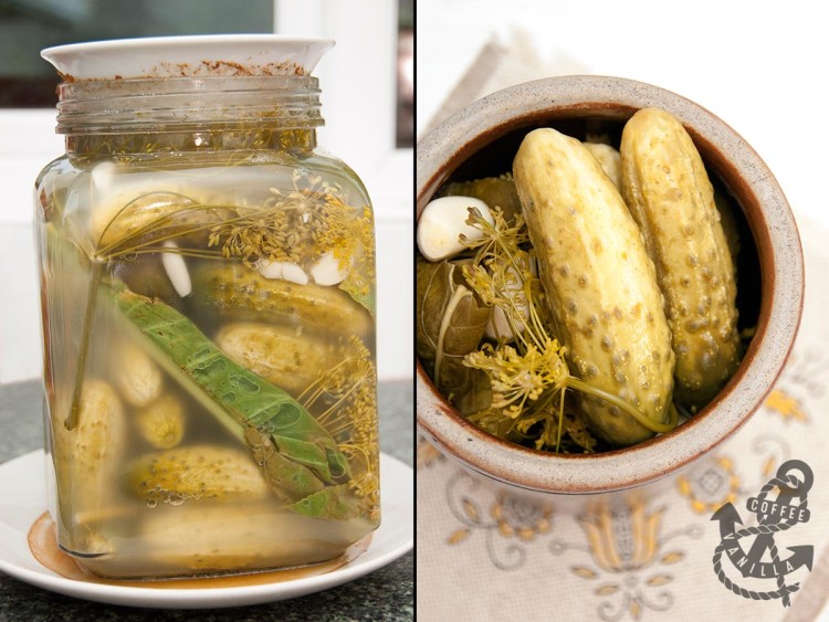 Polish crock dill pickles 