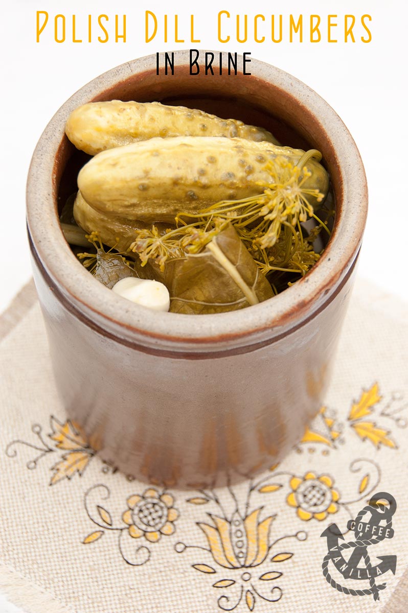 Polish QuickEating Salted Dill Cucumbers in Brine Ogórki Małosolne