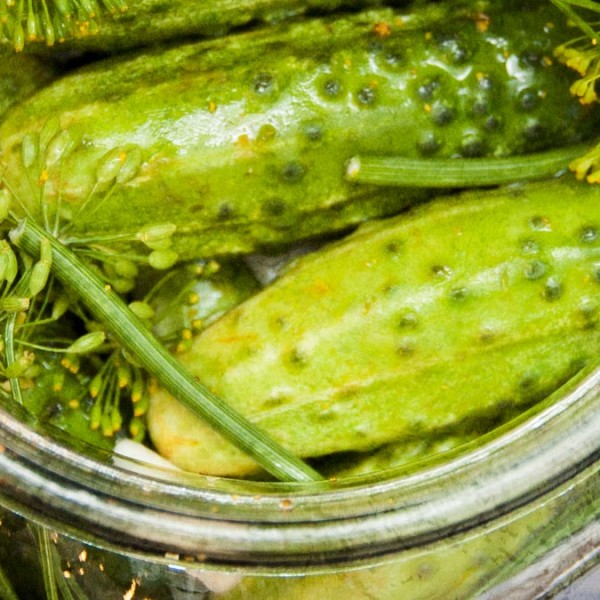 Polish QuickEating Salted Dill Cucumbers in Brine Ogórki Małosolne » Coffee & Vanilla