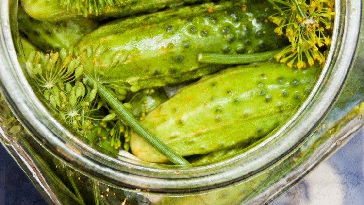 Polish Quick-Eating Salted Dill Cucumbers in Brine – Ogórki Małosolne