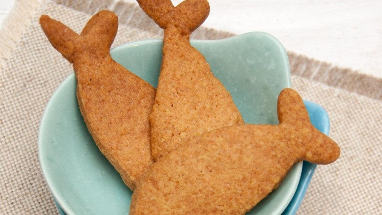 Lightly Spiced Fish Biscuits for Fans of The Octonauts