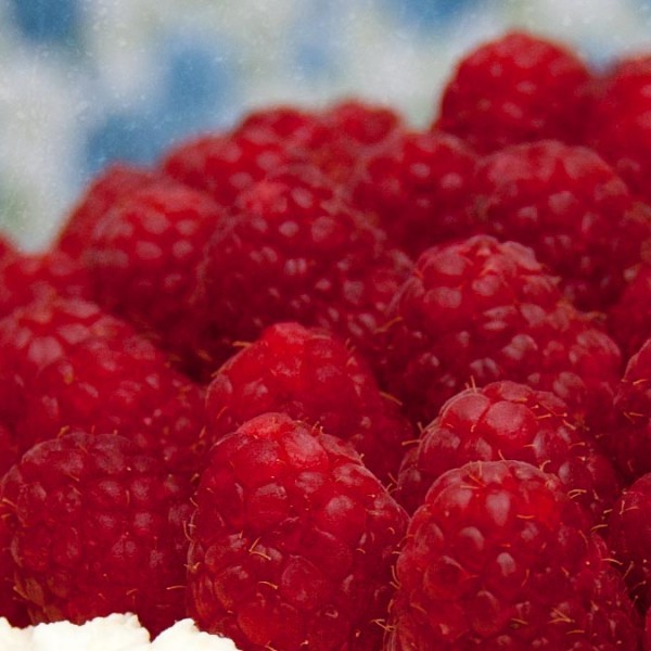 Triple Layer Vanilla Sponge Cake with Raspberries & Chocolate » Coffee ...