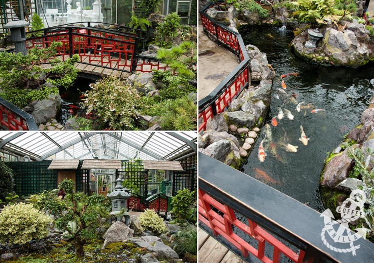 Oriental garden 