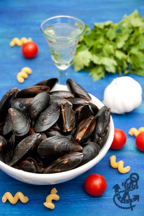 how to cook fresh mussels 