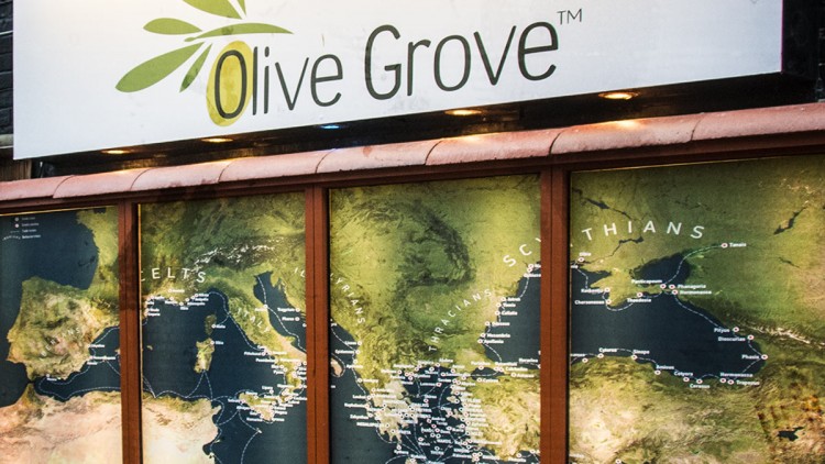 Olive Grove – Mediterranean Restaurant in Brighton