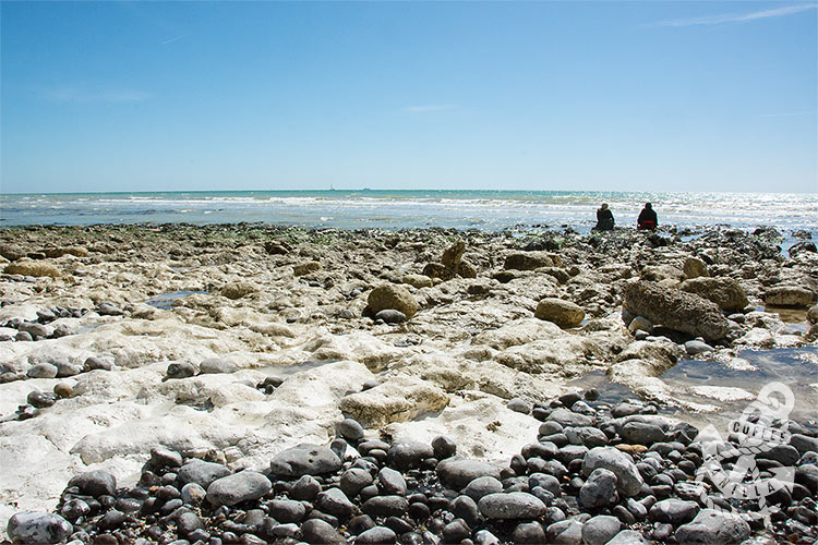 rock pools near Brighton 