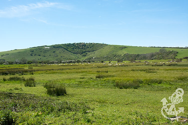 white chalk horse on the hill near the Seven Sisters