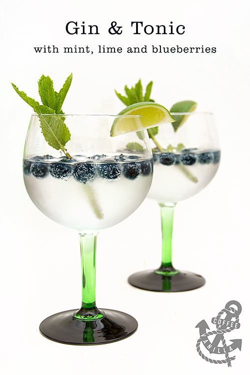 gin and tonic recipes