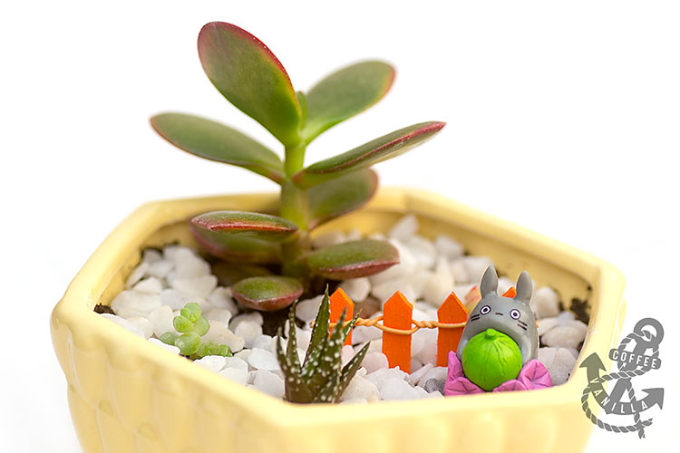 miniature garden ideas for kids Totoro garden