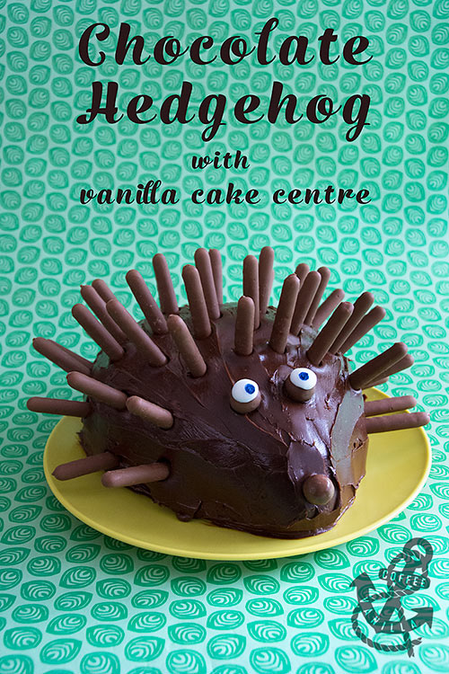 simple chocolate hedgehog cake for kids parties 