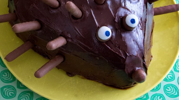 Chocolate Hedgehog with Vanilla Cake Centre – Baking with Kids