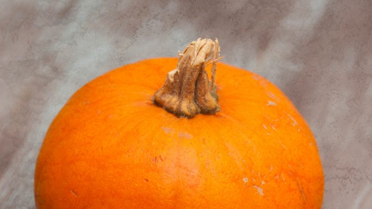 Indoor Halloween Activities for Kids Instead of Trick-or-Treating