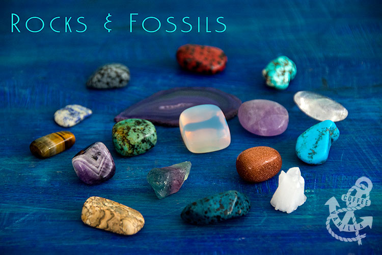 rocks fossils gemstones available in UK